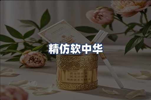 精仿软中华